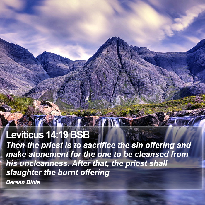 Leviticus 14:19 BSB Bible Study