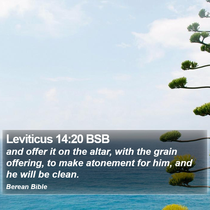 Leviticus 14:20 BSB Bible Study