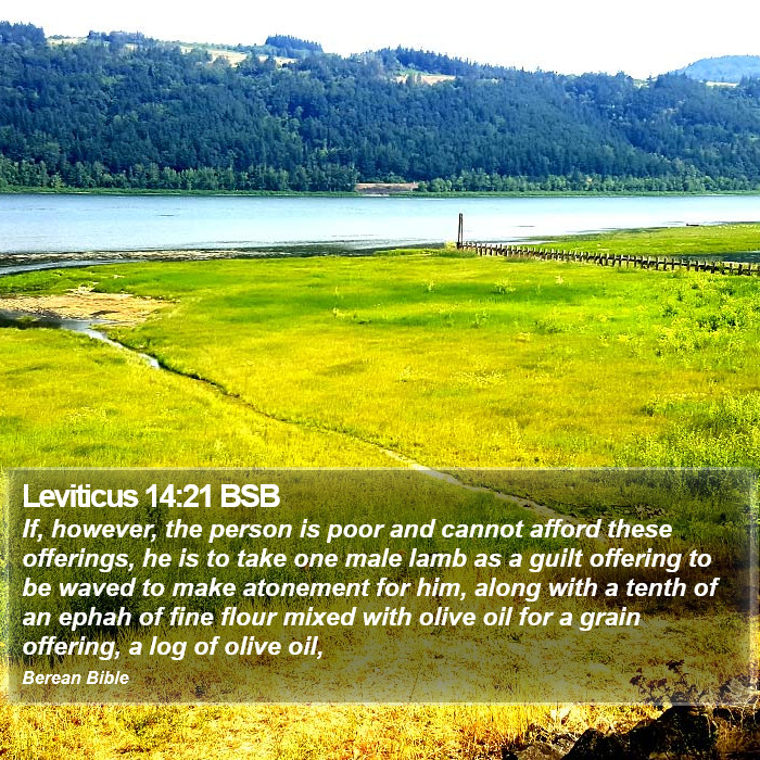 Leviticus 14:21 BSB Bible Study