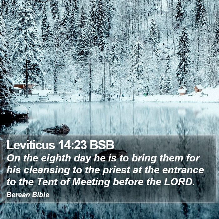 Leviticus 14:23 BSB Bible Study