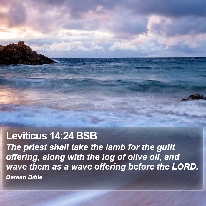 Leviticus 14:24 BSB Bible Study