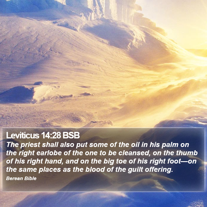 Leviticus 14:28 BSB Bible Study