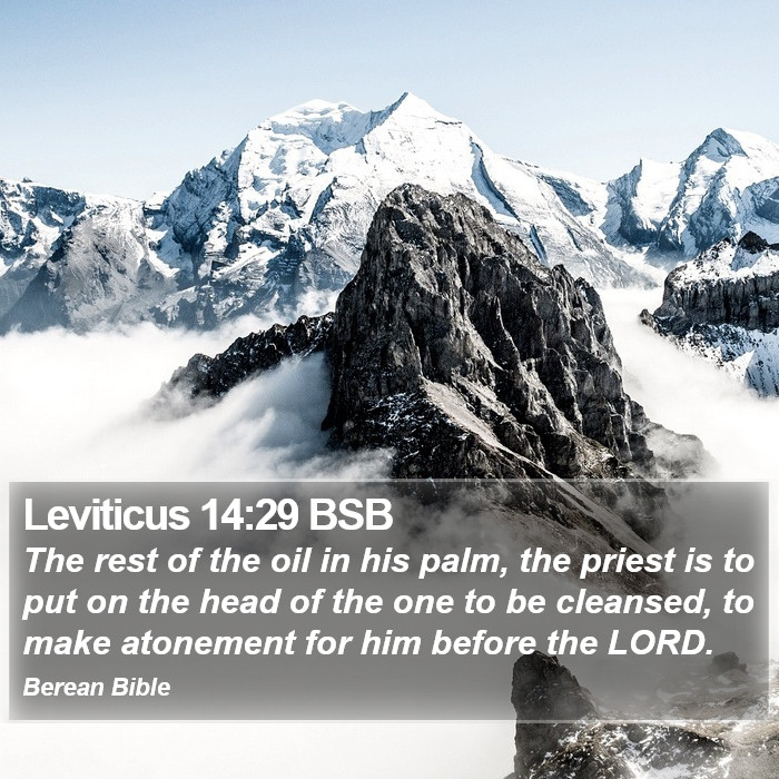 Leviticus 14:29 BSB Bible Study