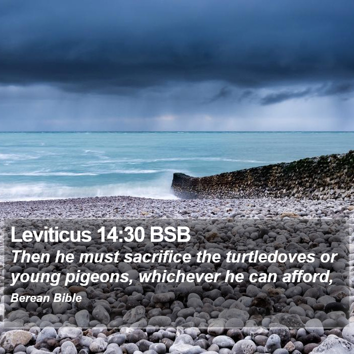 Leviticus 14:30 BSB Bible Study