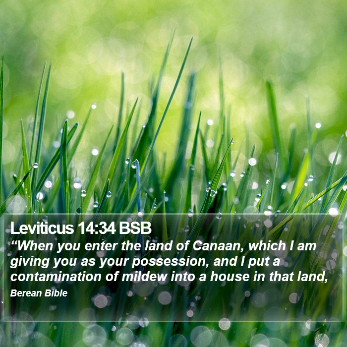 Leviticus 14:34 BSB Bible Study