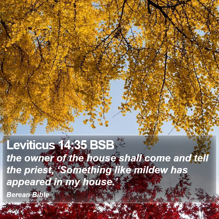 Leviticus 14:35 BSB Bible Study