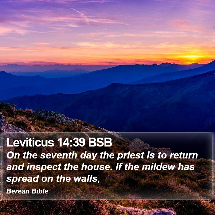 Leviticus 14:39 BSB Bible Study