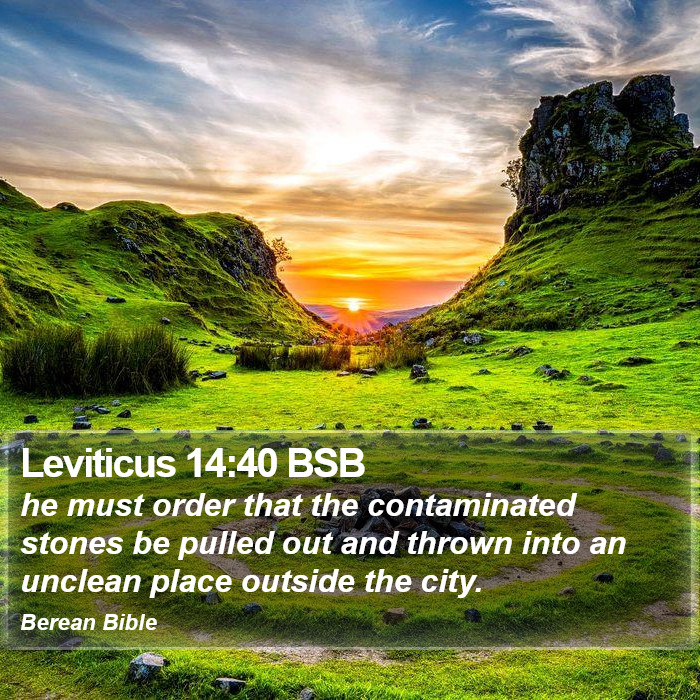 Leviticus 14:40 BSB Bible Study