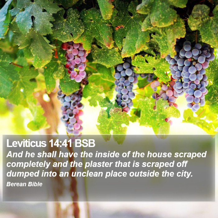 Leviticus 14:41 BSB Bible Study