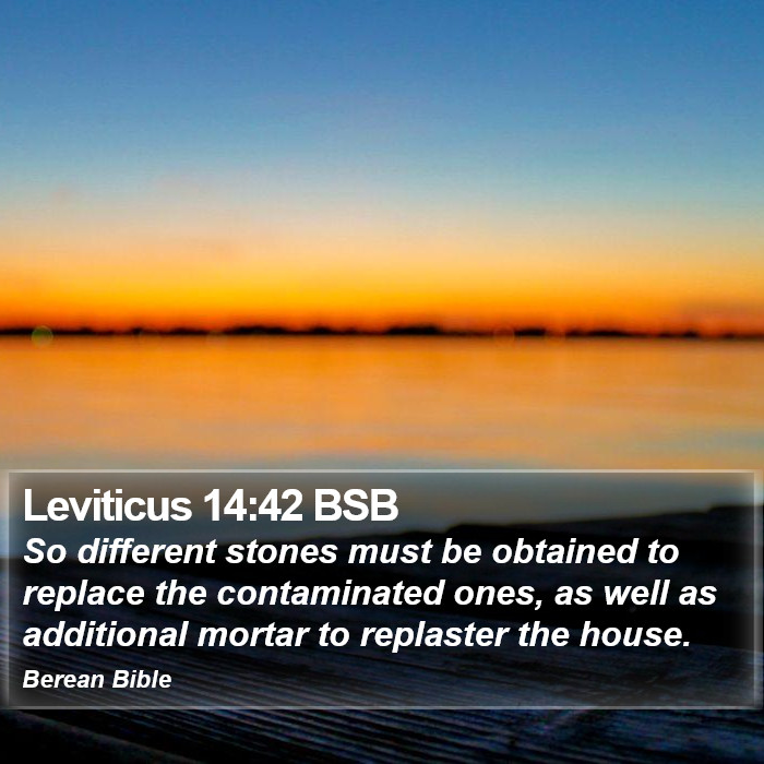 Leviticus 14:42 BSB Bible Study