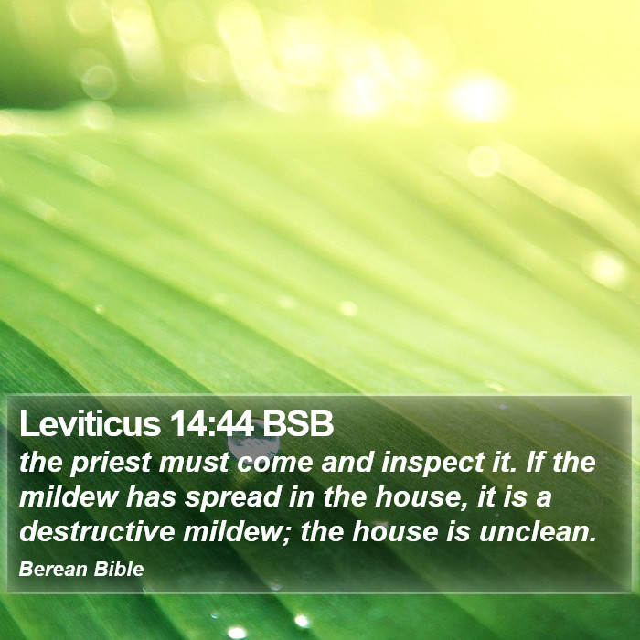 Leviticus 14:44 BSB Bible Study