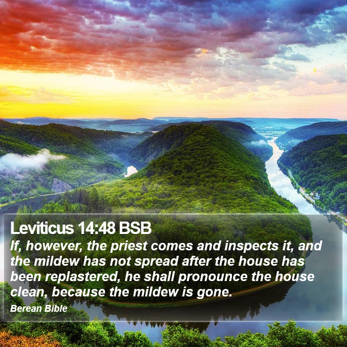 Leviticus 14:48 BSB Bible Study