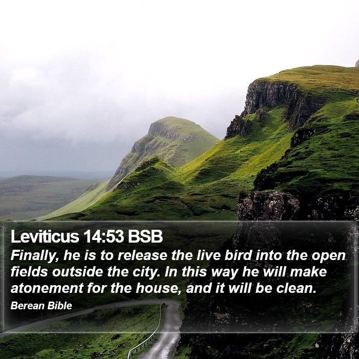 Leviticus 14:53 BSB Bible Study