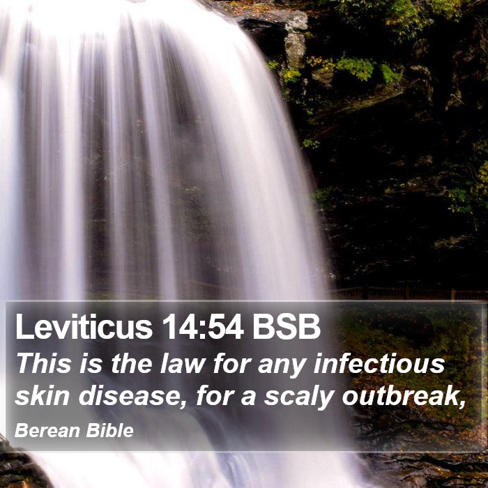 Leviticus 14:54 BSB Bible Study