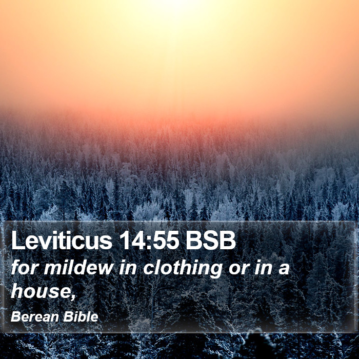 Leviticus 14:55 BSB Bible Study