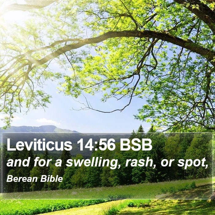 Leviticus 14:56 BSB Bible Study