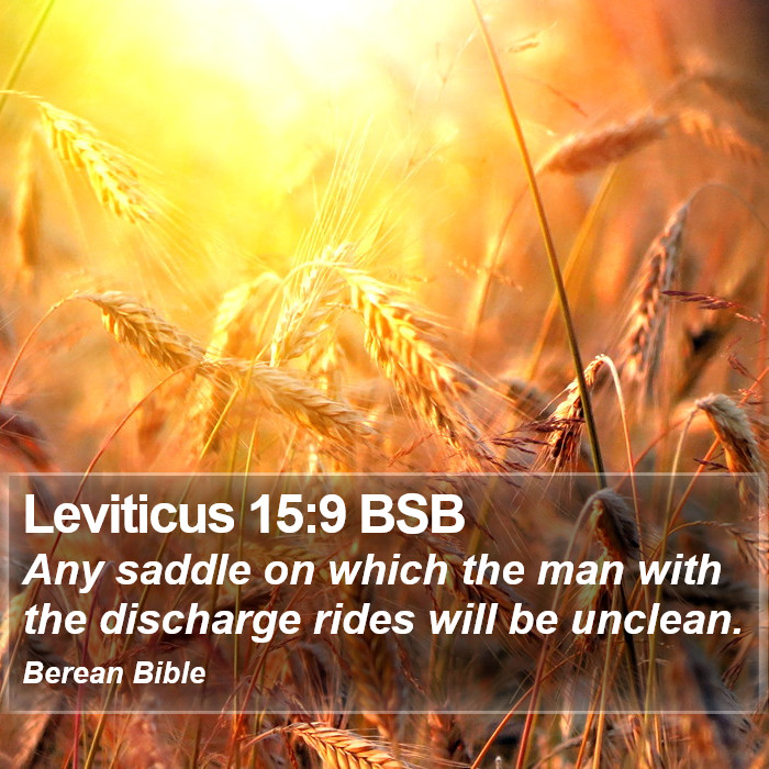 Leviticus 15:9 BSB Bible Study