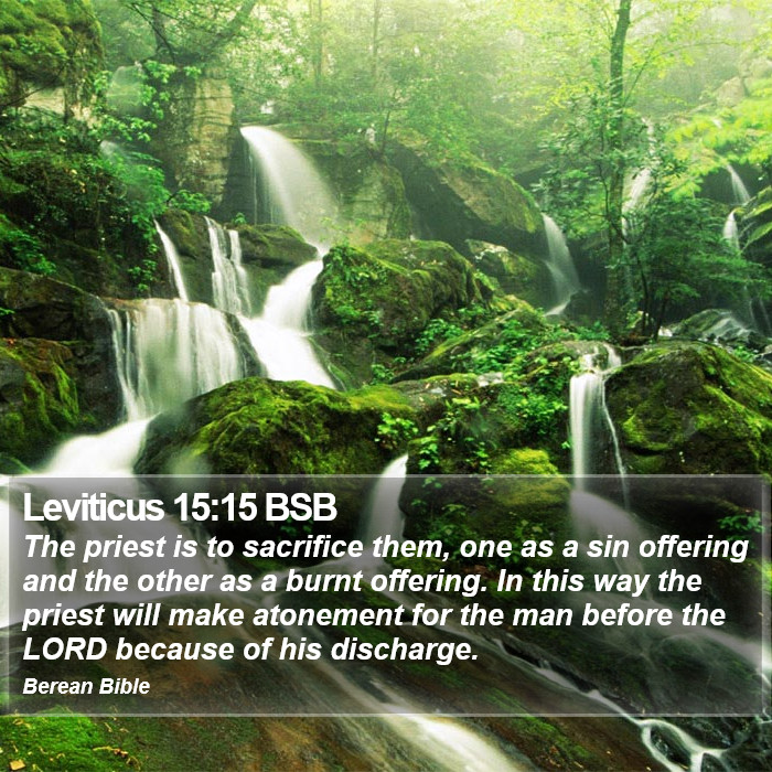 Leviticus 15:15 BSB Bible Study