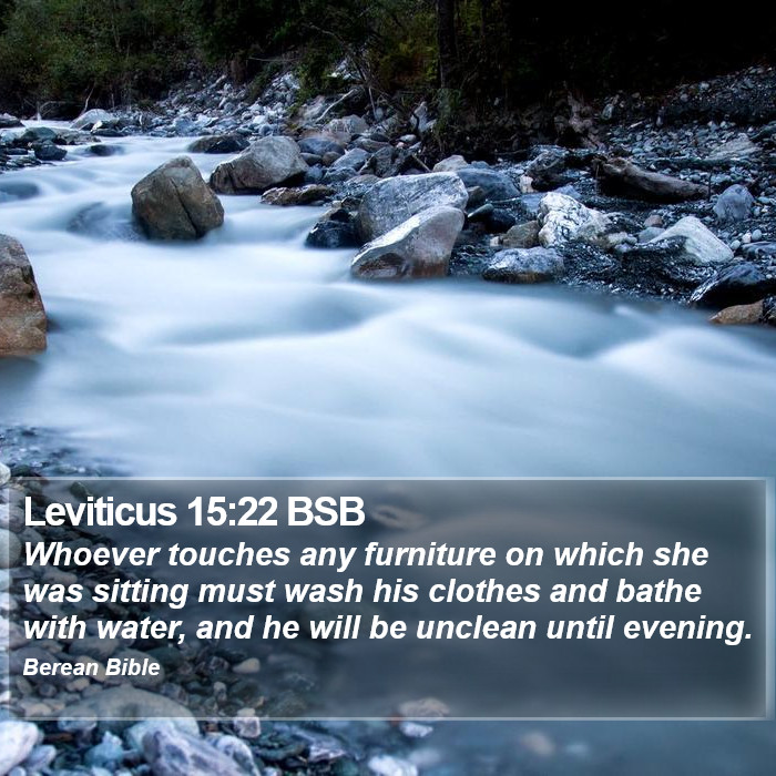 Leviticus 15:22 BSB Bible Study