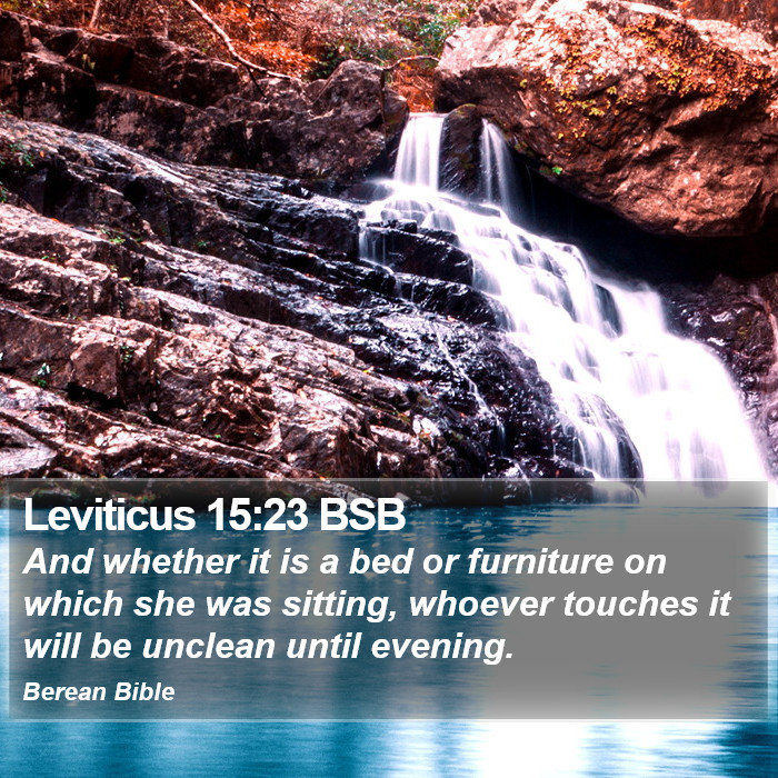 Leviticus 15:23 BSB Bible Study