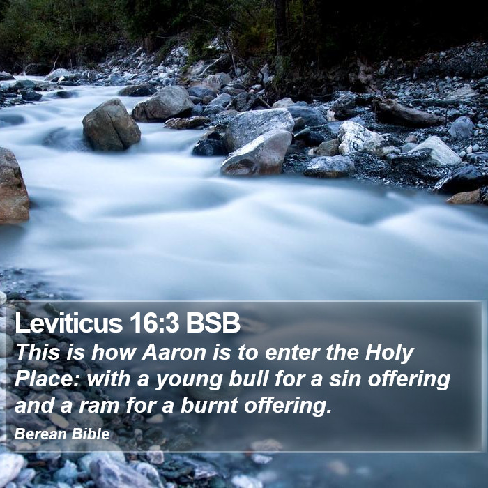 Leviticus 16:3 BSB Bible Study