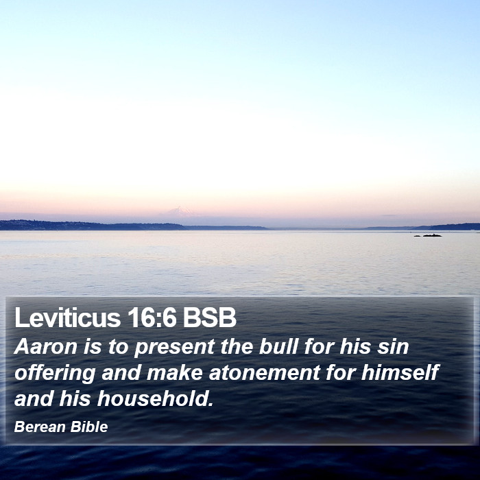 Leviticus 16:6 BSB Bible Study