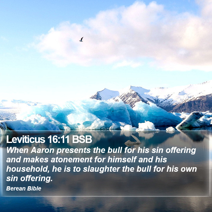 Leviticus 16:11 BSB Bible Study