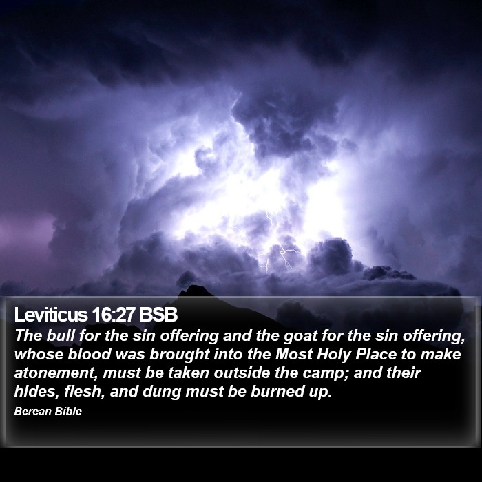 Leviticus 16:27 BSB Bible Study