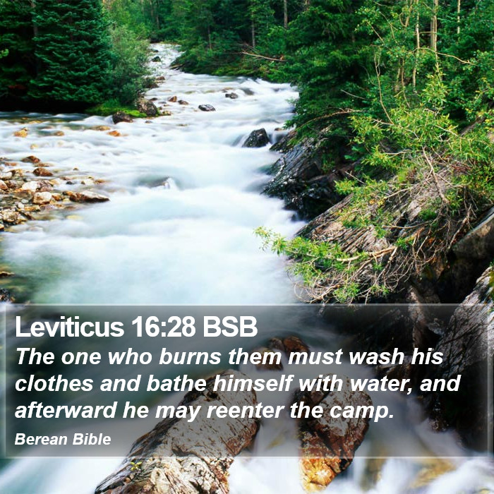 Leviticus 16:28 BSB Bible Study