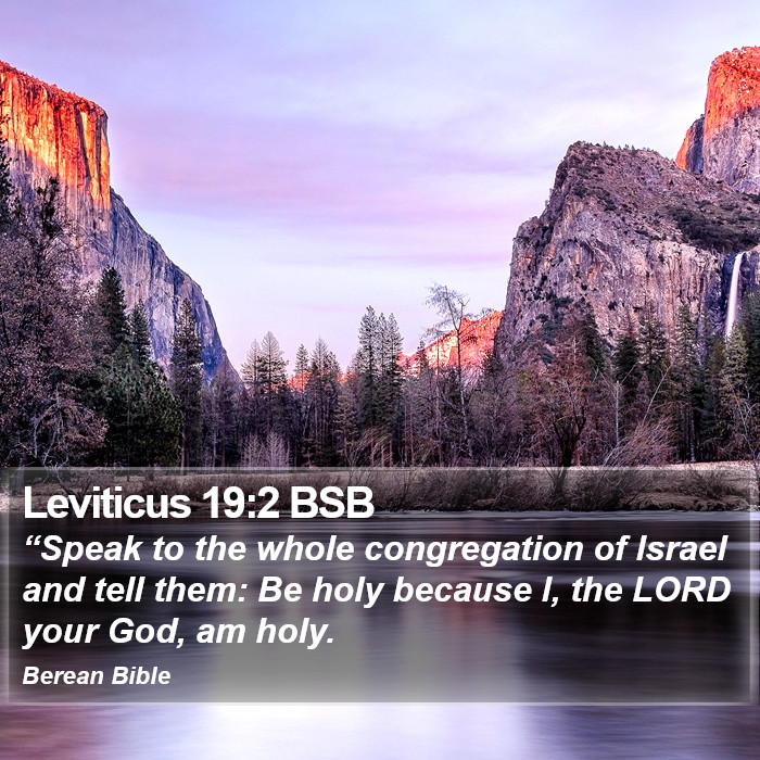 Leviticus 19:2 BSB Bible Study