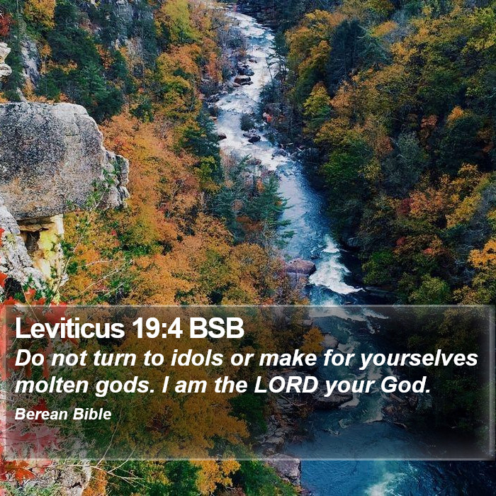 Leviticus 19:4 BSB Bible Study