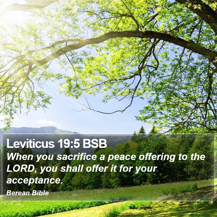 Leviticus 19:5 BSB Bible Study