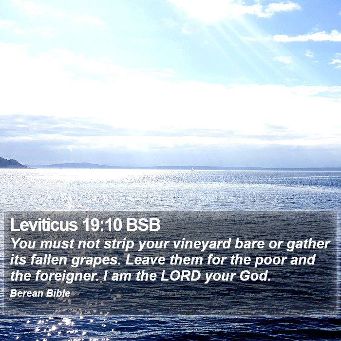 Leviticus 19:10 BSB Bible Study