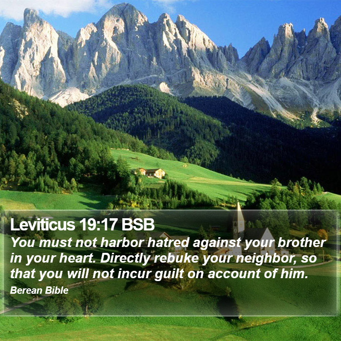 Leviticus 19:17 BSB Bible Study