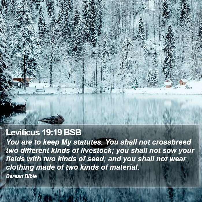 Leviticus 19:19 BSB Bible Study