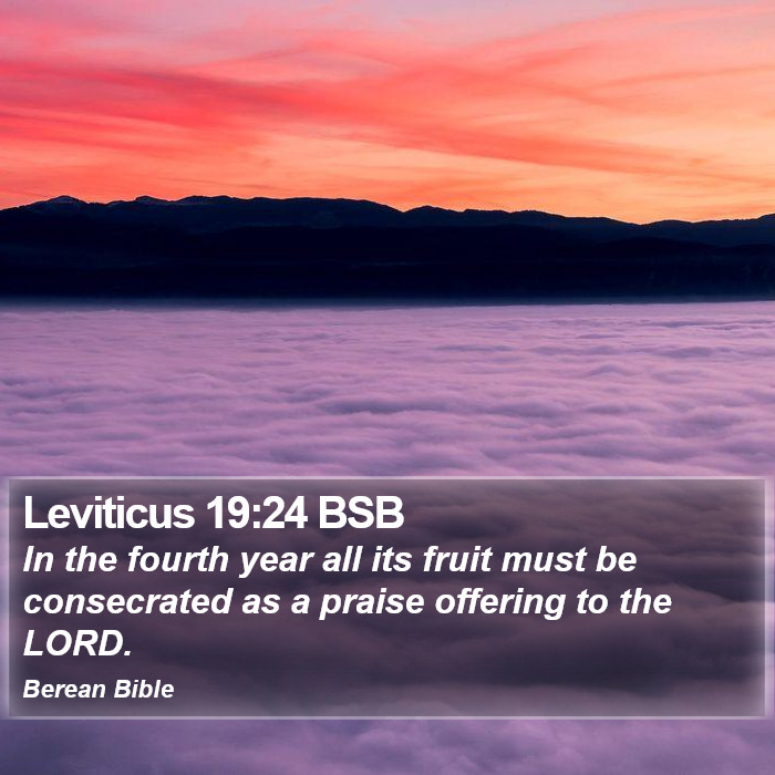 Leviticus 19:24 BSB Bible Study