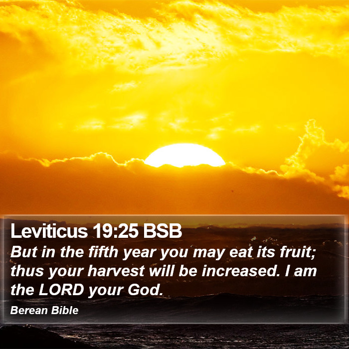 Leviticus 19:25 BSB Bible Study