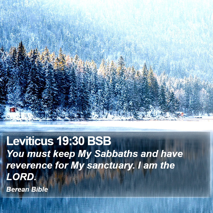 Leviticus 19:30 BSB Bible Study