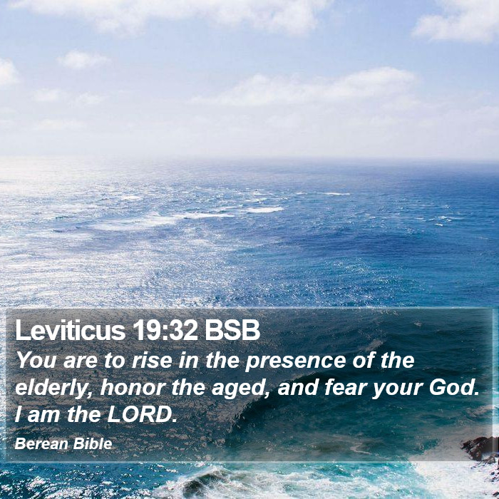 Leviticus 19:32 BSB Bible Study