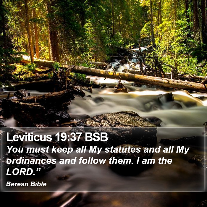 Leviticus 19:37 BSB Bible Study