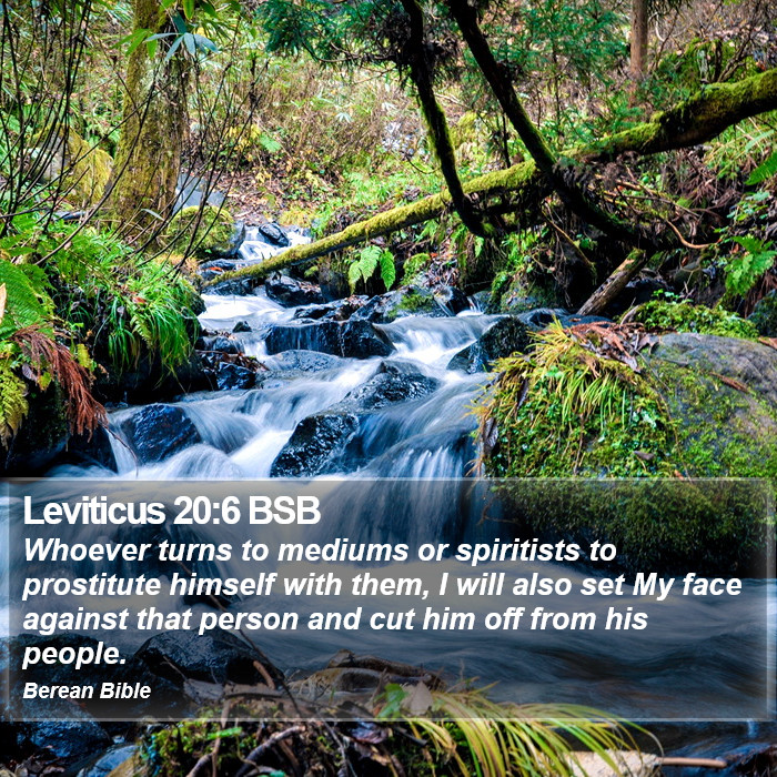 Leviticus 20:6 BSB Bible Study