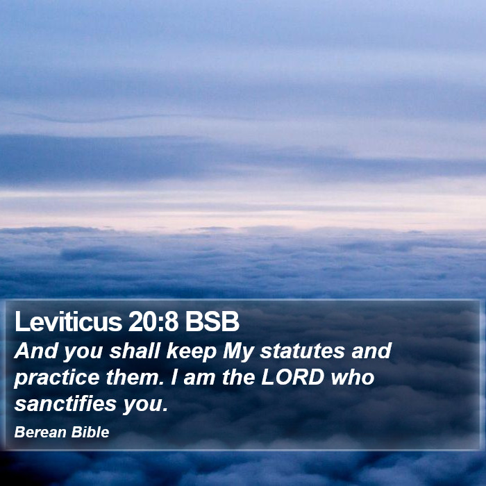 Leviticus 20:8 BSB Bible Study