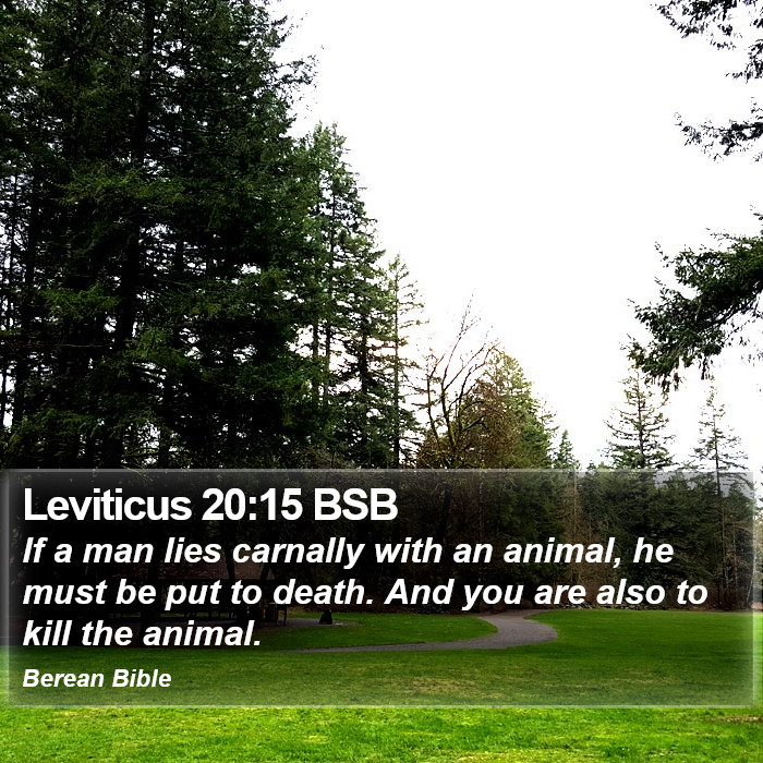 Leviticus 20:15 BSB Bible Study