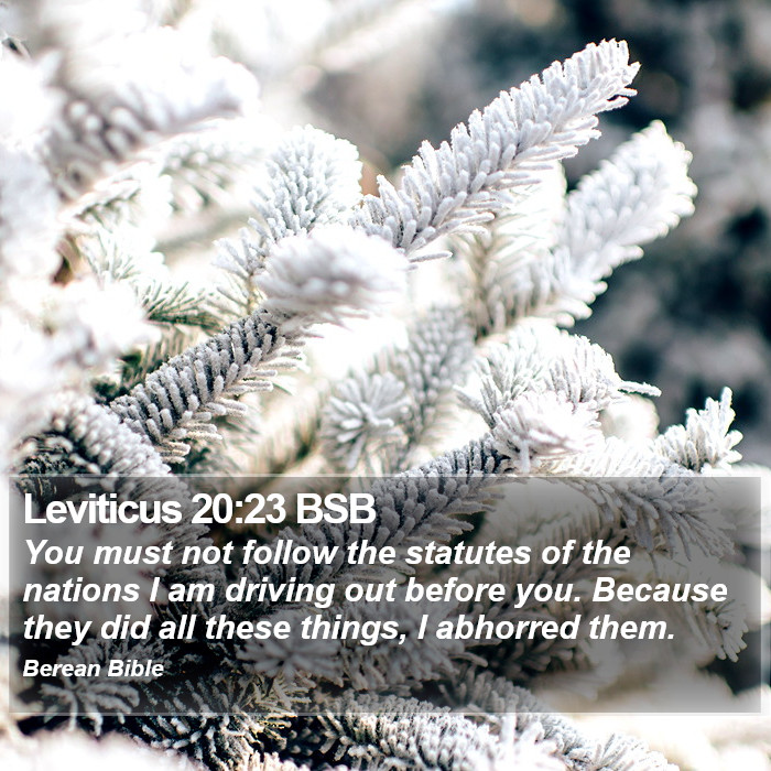 Leviticus 20:23 BSB Bible Study