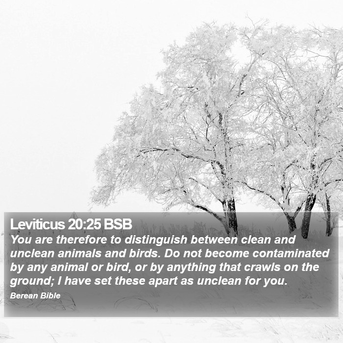 Leviticus 20:25 BSB Bible Study