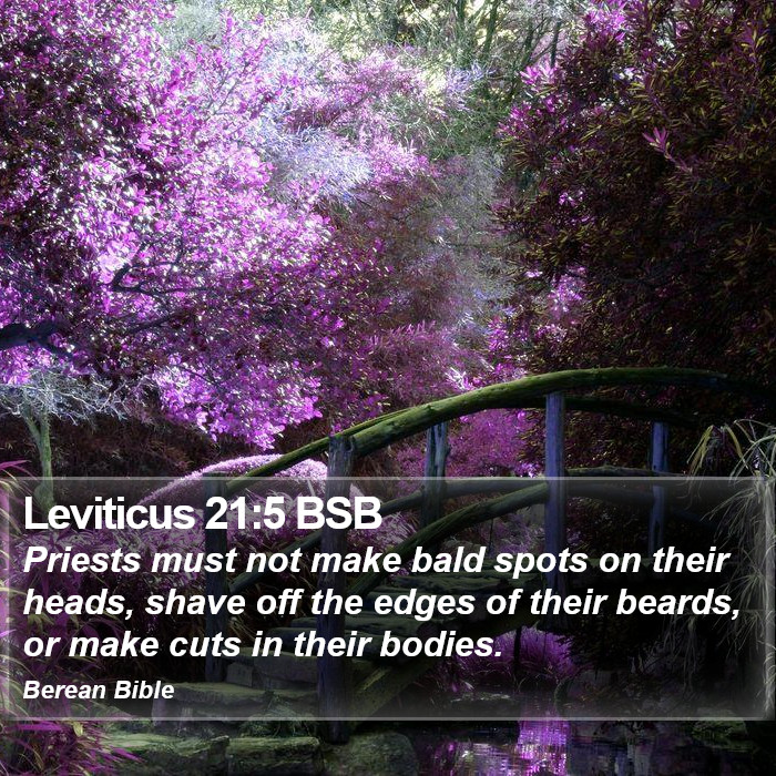 Leviticus 21:5 BSB Bible Study