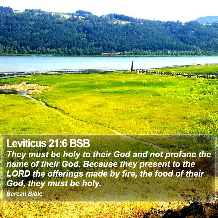 Leviticus 21:6 BSB Bible Study