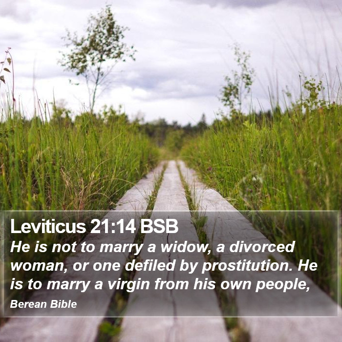 Leviticus 21:14 BSB Bible Study