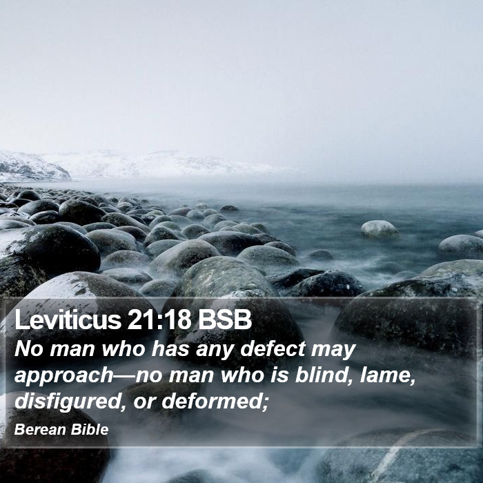 Leviticus 21:18 BSB Bible Study