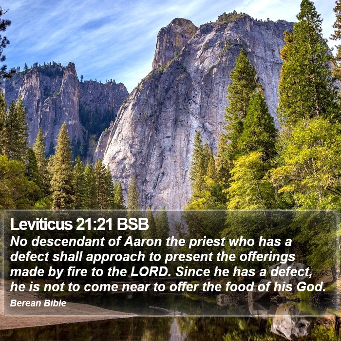 Leviticus 21:21 BSB Bible Study